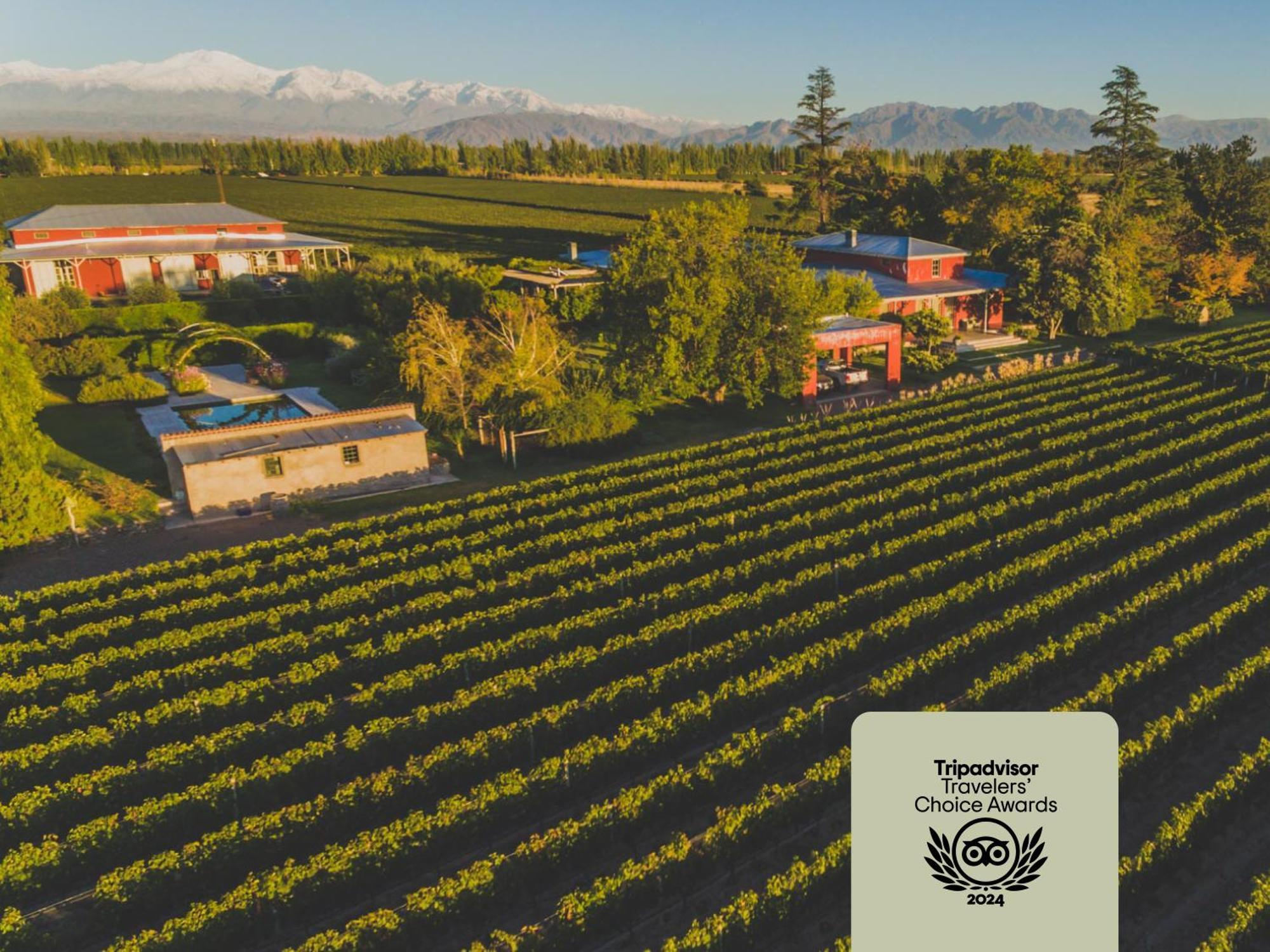 Enlace Wine House Lujan de Cuyo Zewnętrze zdjęcie
