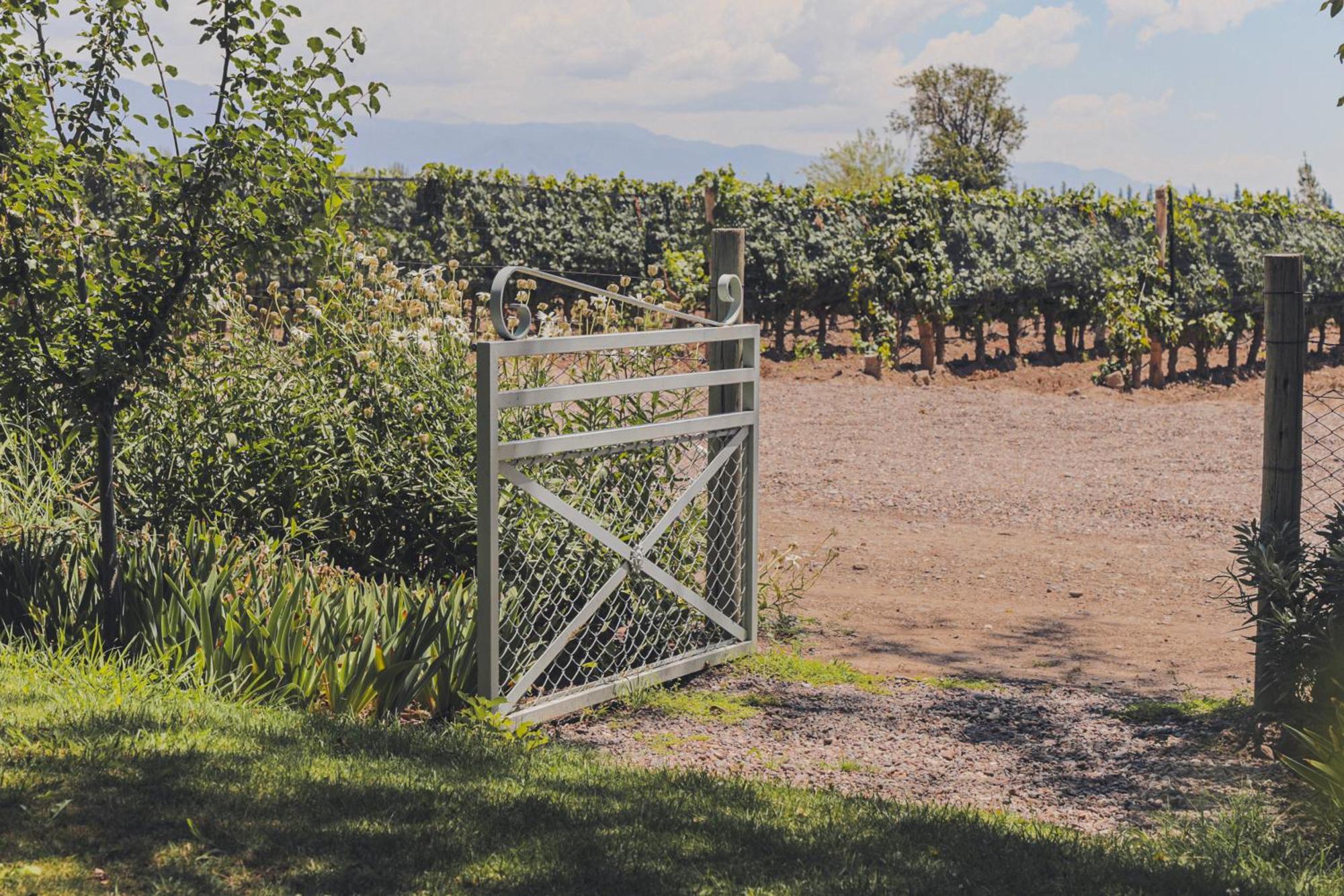 Enlace Wine House Lujan de Cuyo Zewnętrze zdjęcie